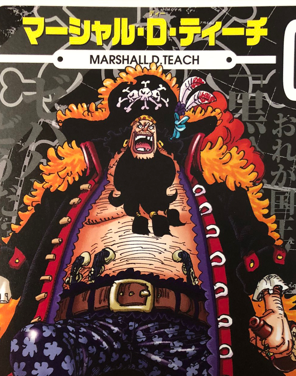 ワンピース  ティーチ ワンピース ビブルカード ティーチ（黒ひげ）の出身はシェード港