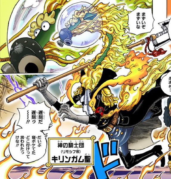 ワンピース 神の騎士団『リモシフ・キリンガム聖』リュウリュウの実