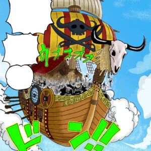 覇国　ワンピース