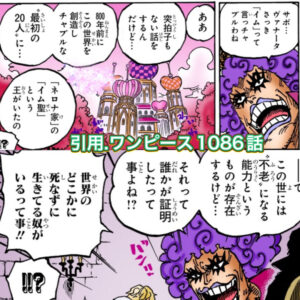 ワンピース　イム様