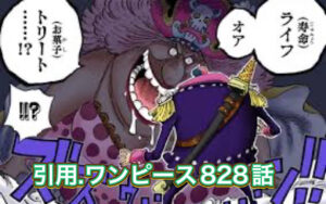 ビッグマム　寿命