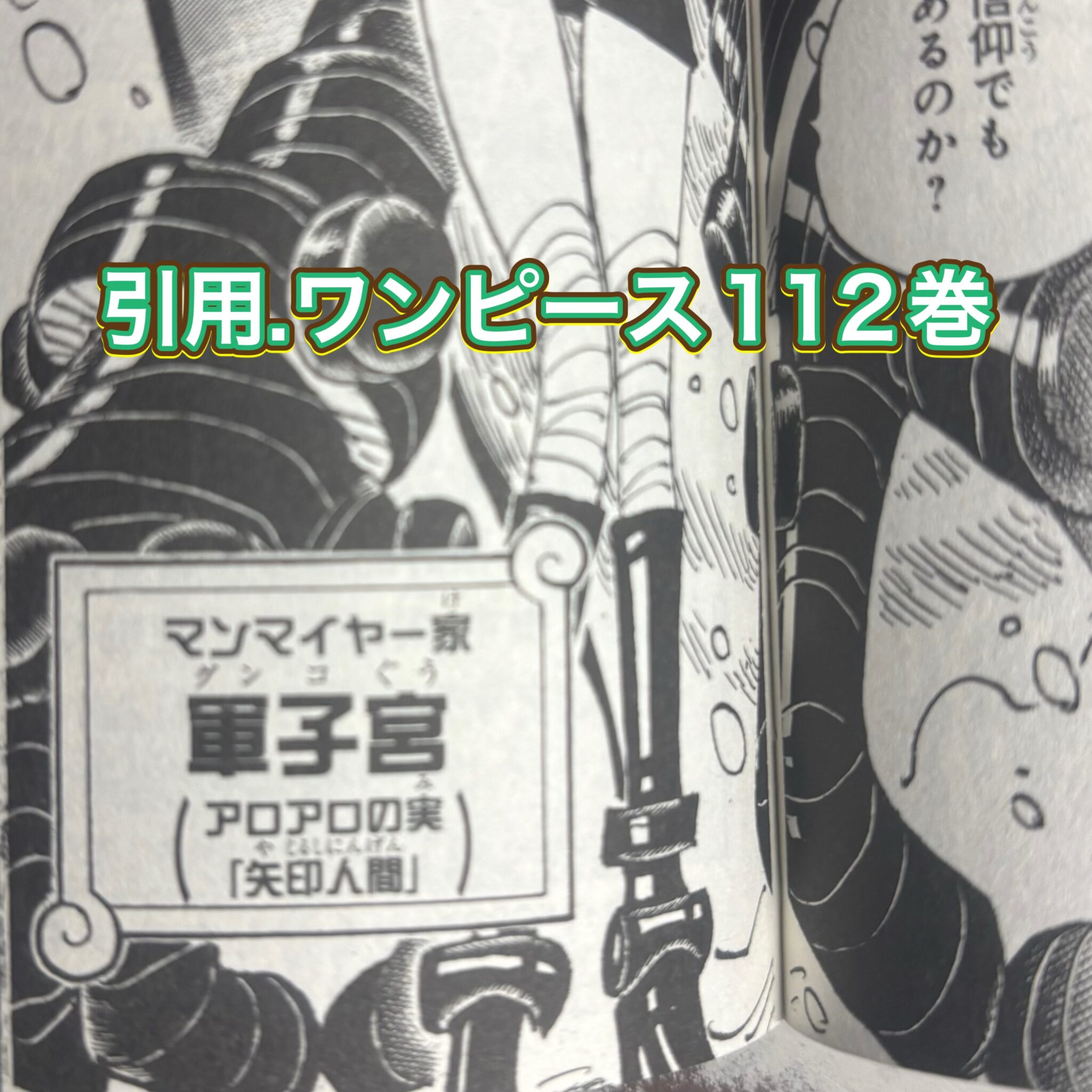 【ワンピース1185話最新】シュリ姫(軍子)がニカに怯える謎!エルバフでの悲劇を徹底解説