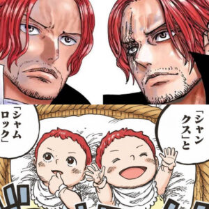 シャンクス　シャムロック　赤ちゃん