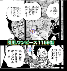 ドラゴン　ティーチ
