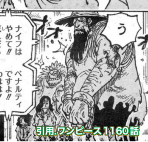 バッカニア デービー 麦わら帽子