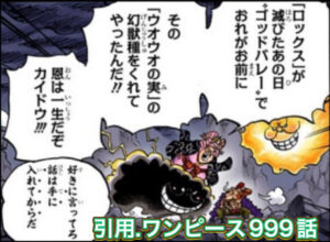 リンリン　ウオウオの実　カイドウ