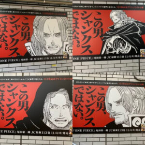 ワンピース 113巻