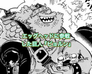 ワンピース　ビョルン